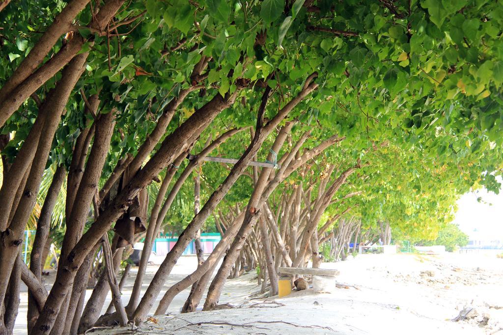 Rip Tide Vacation Inn, K.Guraidhoo Guraidhoo  Exterior foto